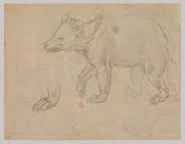 Movies Arrive in the US