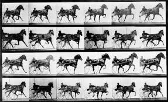 First motion Pictures