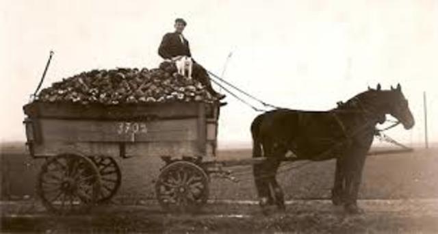 Horses were used for transportation