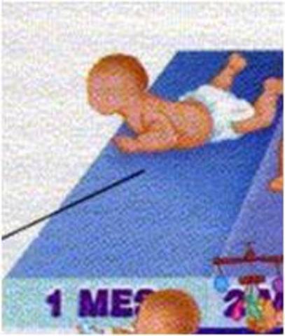 LEVANTA  LA CABEZA, 1 MES