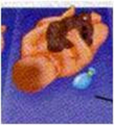 INTENTA LEVANTAR OBJETOS, 3 MESES