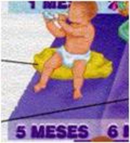 TOMA OBJETOS, 5 MESES