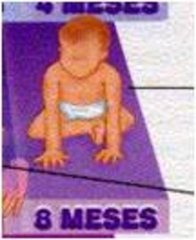 SE SIENTA SOLO, 8 MESES