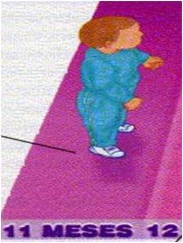 SE MANTIENE DE PIE SOLO, 11 MESES