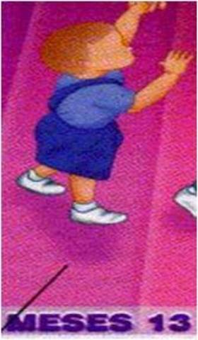 INTENTA CORRER SI SE LE TOMA DE LA MANO, 12 MESES