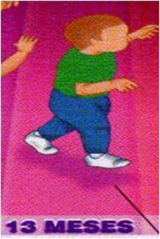 CAMINA SOLO, 13 MESES