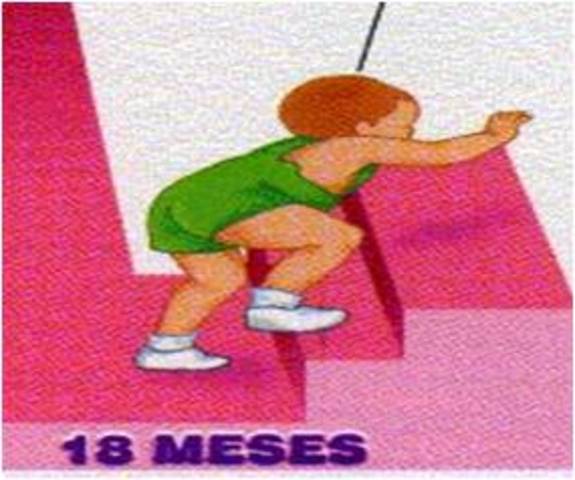 SUBE Y BAJA ESCALERAS, 18 MESES