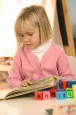 Began Elementary School