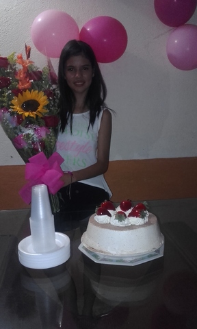 MIS 15