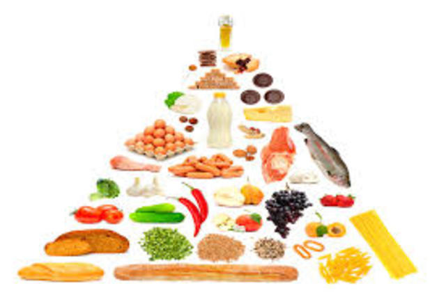 pirámide alimentaria