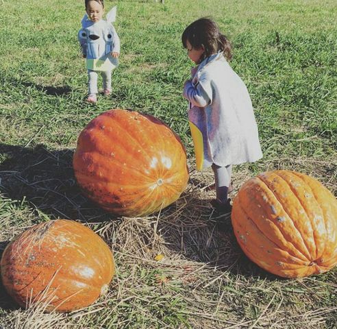 Visita a la finca de mi abue