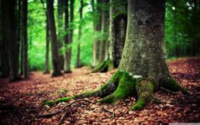 Hae's Body discovered