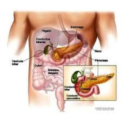 ¿Qué tan común es el cáncer de páncreas?