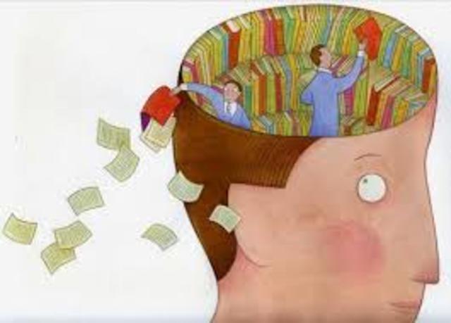 Información Ordenada y Estructurada