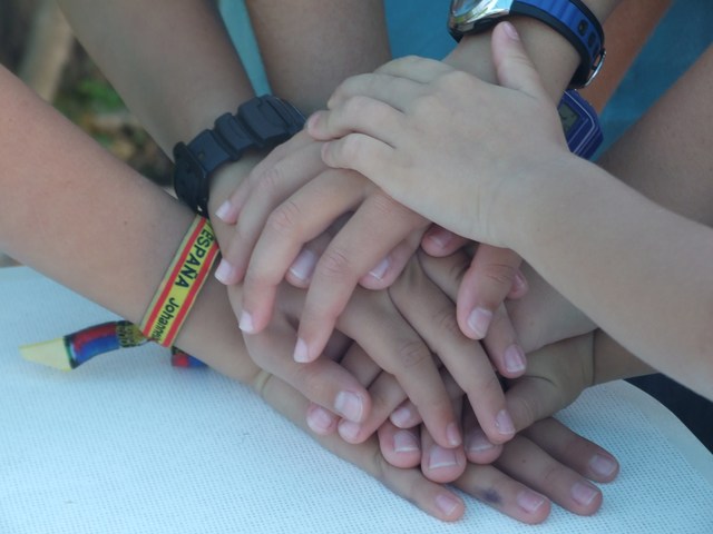 Wenger, Mc Dermott y Snyder