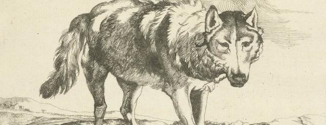 Mensen gaan huisdieren houden.