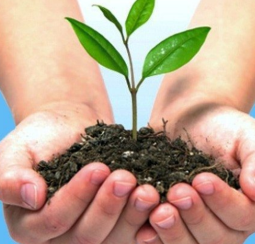 Campaña de responsabilidad social