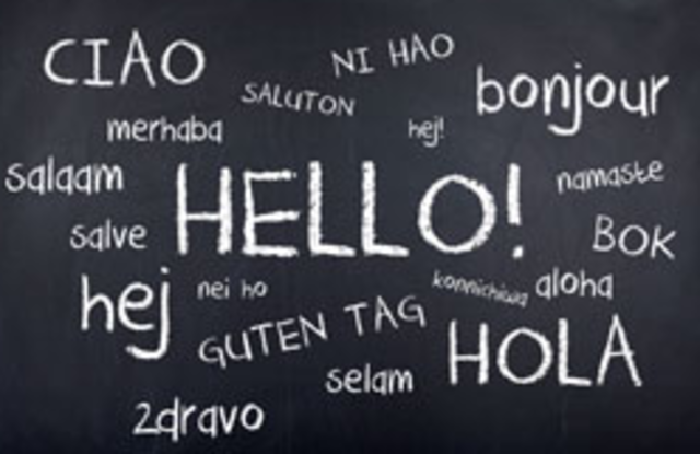 Bilingual Education Act