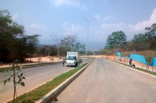 Transversal del Bosque (Fase II)