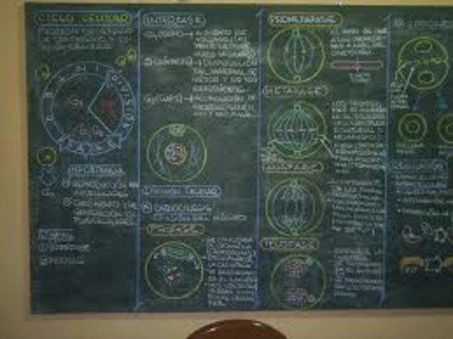 PIZARRA Y PAPELÓGRAFO