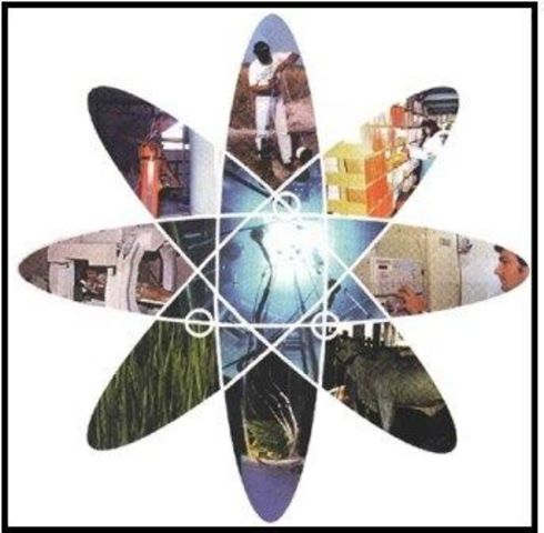 AVANCES EN EL SIGLO XX