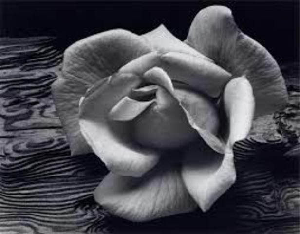 Ansel Adams