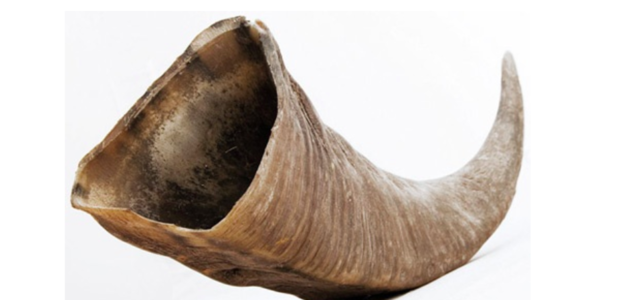 Stentorophonic Horn  (Greek Civilisation)