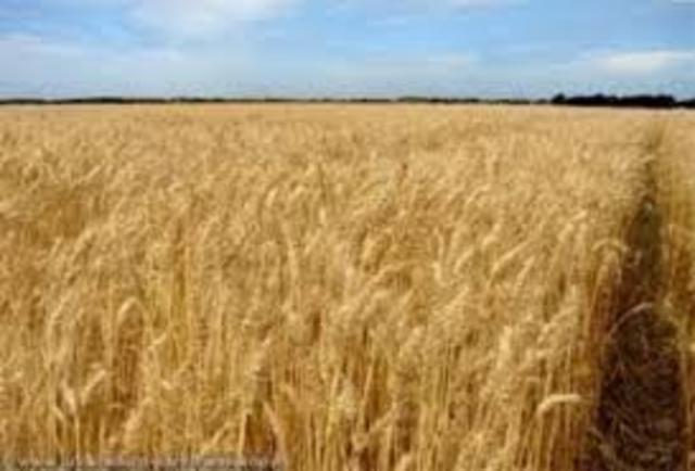 akkerbouw wordt uitgevonden