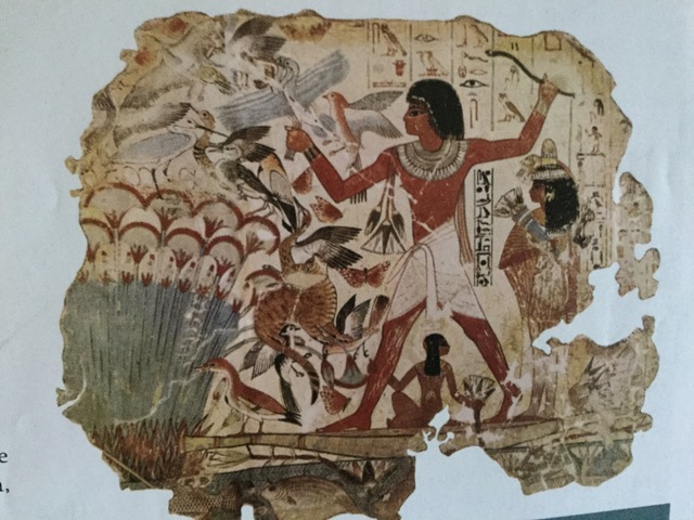 Verschillen kon je zien