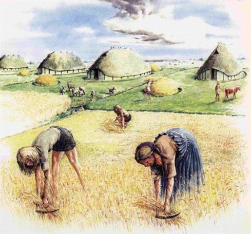 het onstaan van de landbouw