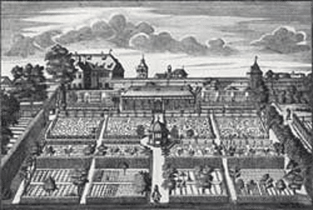 erster Botanischer Garten in Pisa