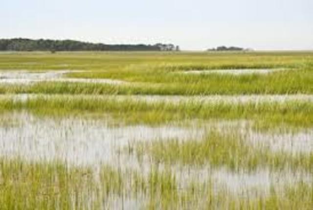 Nederland na de ijstijd