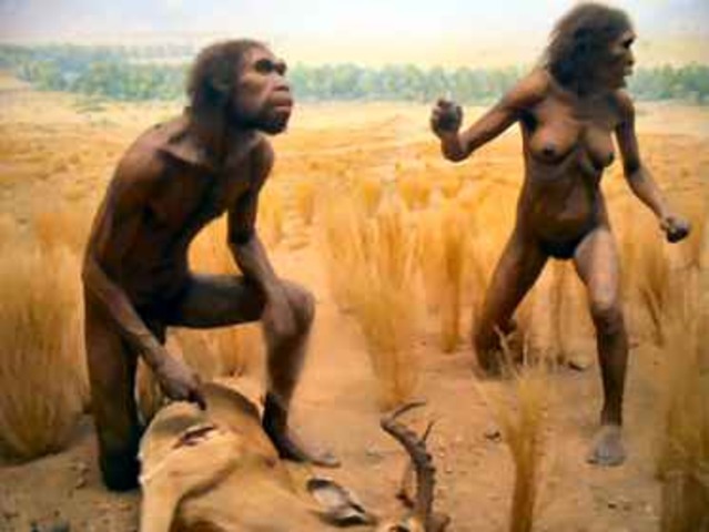 moderne mens in Europa