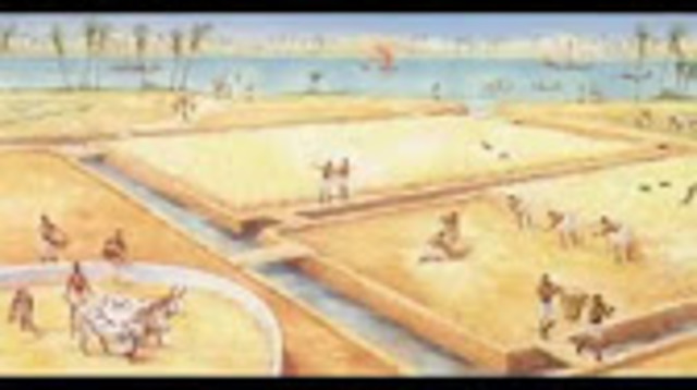 Egyptenaren irrigeren het water.