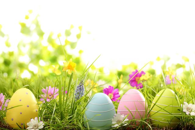 Easter Greetings Day