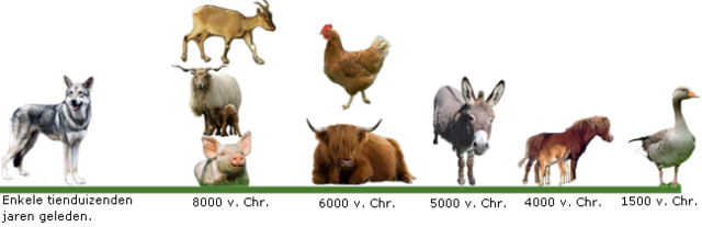 Mensen gaan dieren houden