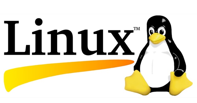 Primera versión oficial de Linux