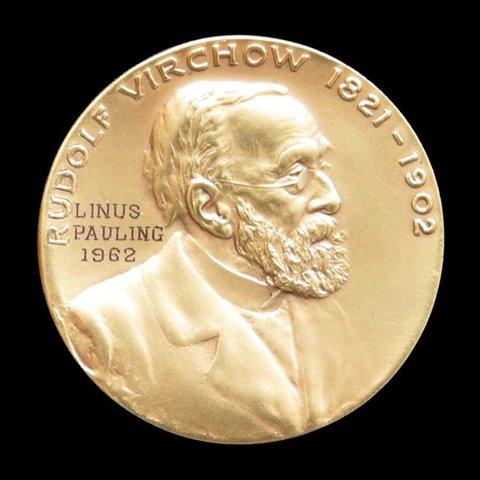 Rudolph Virchow, Alemania