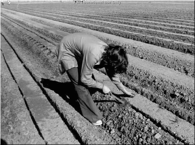 1938 - 1939: Worked with his family as migrant workers