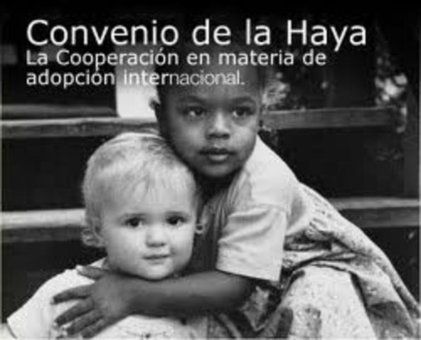 . Convención sobre Protección de Menores y Cooperación en Materia de Adopción Internacional (Convención de la Haya)
