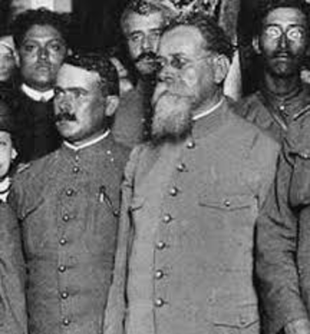 Los constitucionalistas