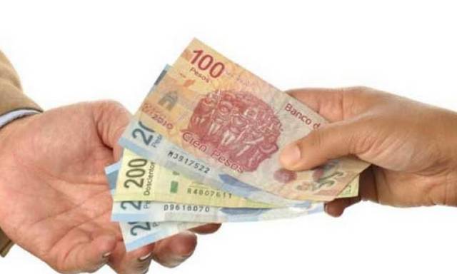 El nuevo sistema de participación