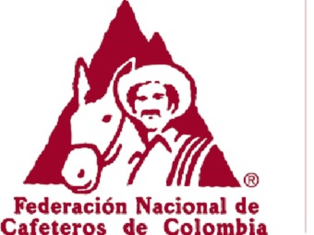 Creación de Entidades