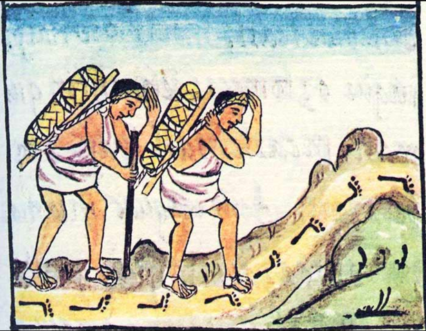 Aztec civilisation