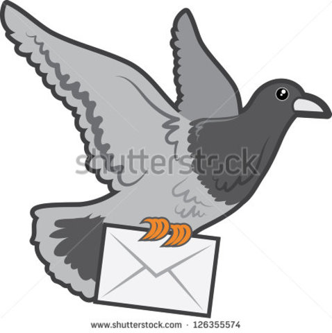 CARRIER PIGEON
