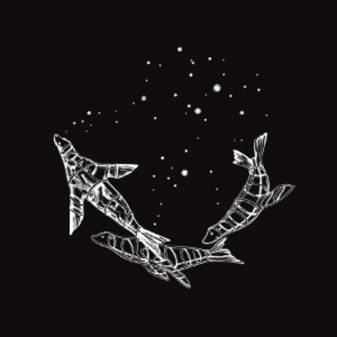 Lanzan el primer single de su 6º disco, "Midnight"