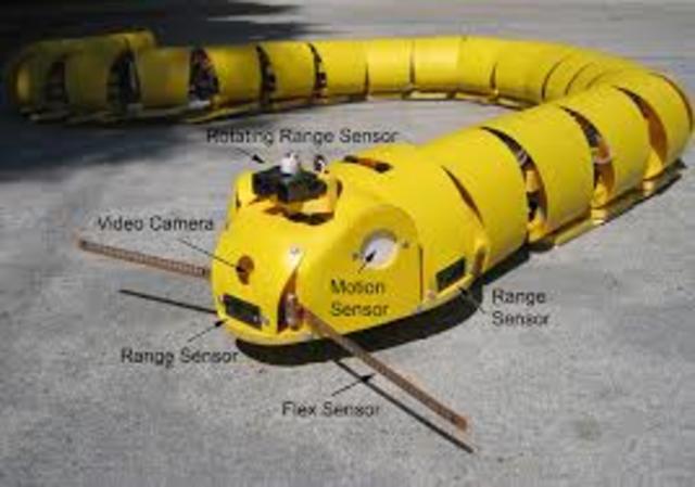 Robot serpent (Gavin Miller)