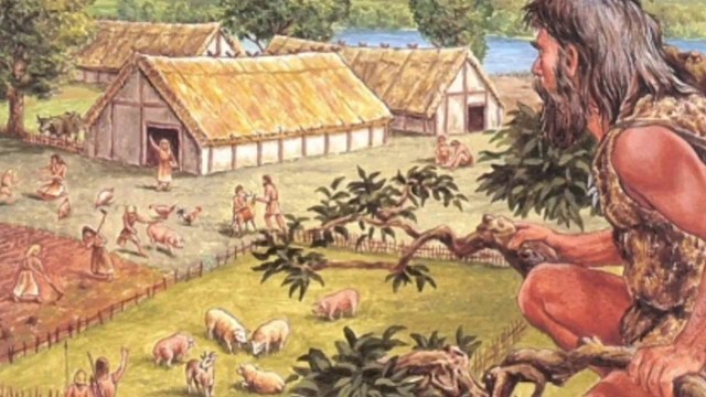 Het onstaan van Landbouw