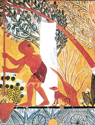 Mensen hoefden niet alleen meer op de akkerbouw te werken.