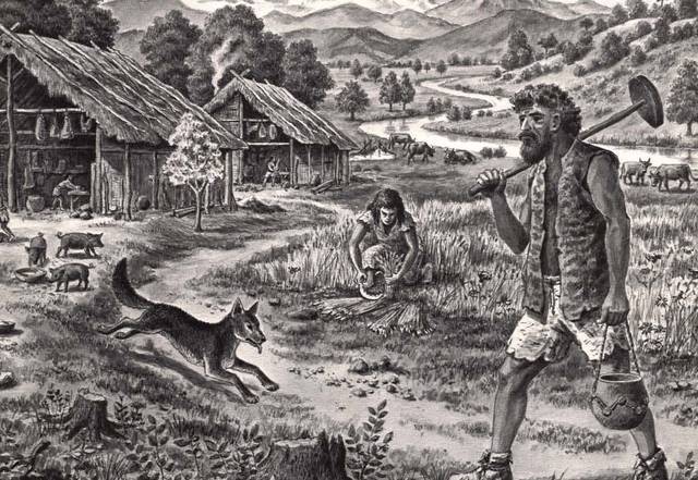 huisdieren werden gehouden